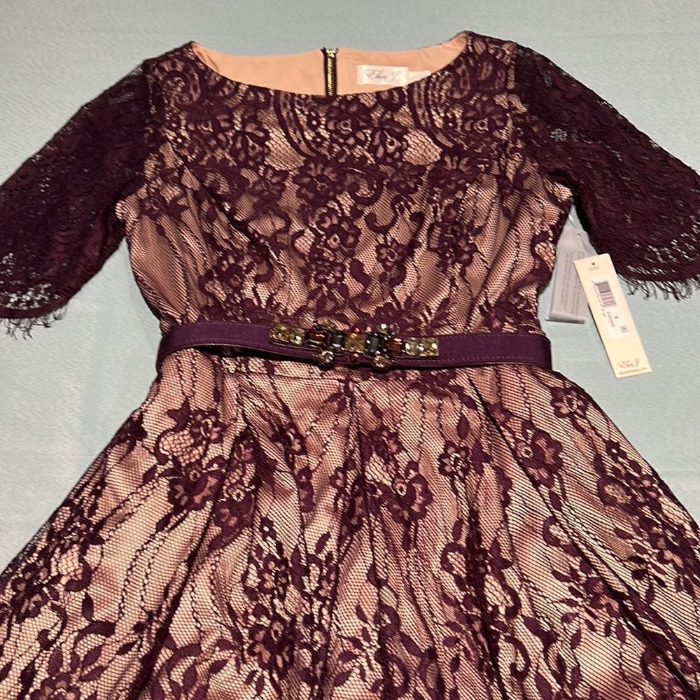 Eliza J. Lace Plum Cocktail Dress Size 6‎ D41 - Picture 5 of 13